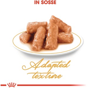 Royal Canin Katzenfutter Nass für Britisch Kurzhaar Adult, Stückchen in Soße auf einem Teller.