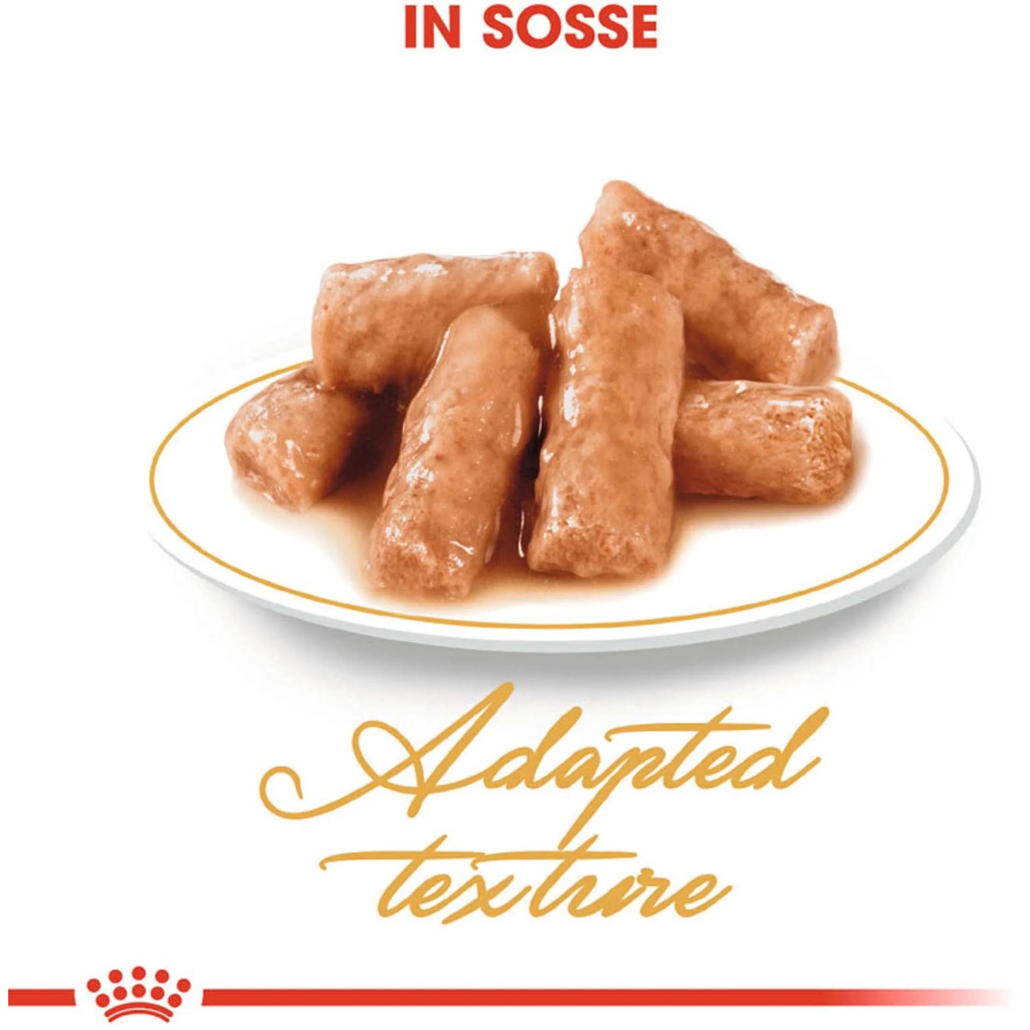 Royal Canin Katzenfutter Nass