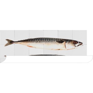 ESTAhome Wandtattoo Fische Grau, 97x48,5cm, selbstklebend für moderne Wandgestaltung.