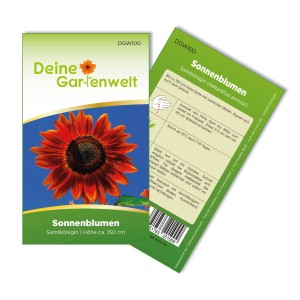 Sonnenblume Samtkönigin Samenpackung: Samtrote Blüte auf blauem Grund, ca. 150cm hoch.