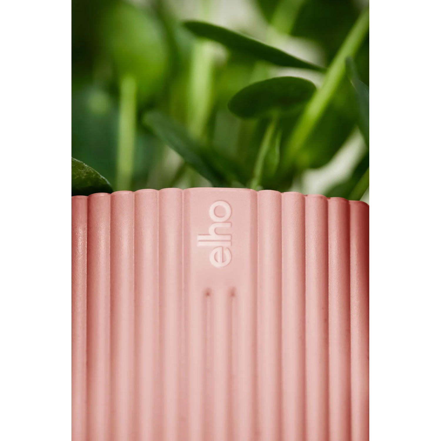 Elho Blumentopf Vibes Fold, Ø 16cm, zartrosa, mit vertikalem Rippenmuster und Elho Logo.