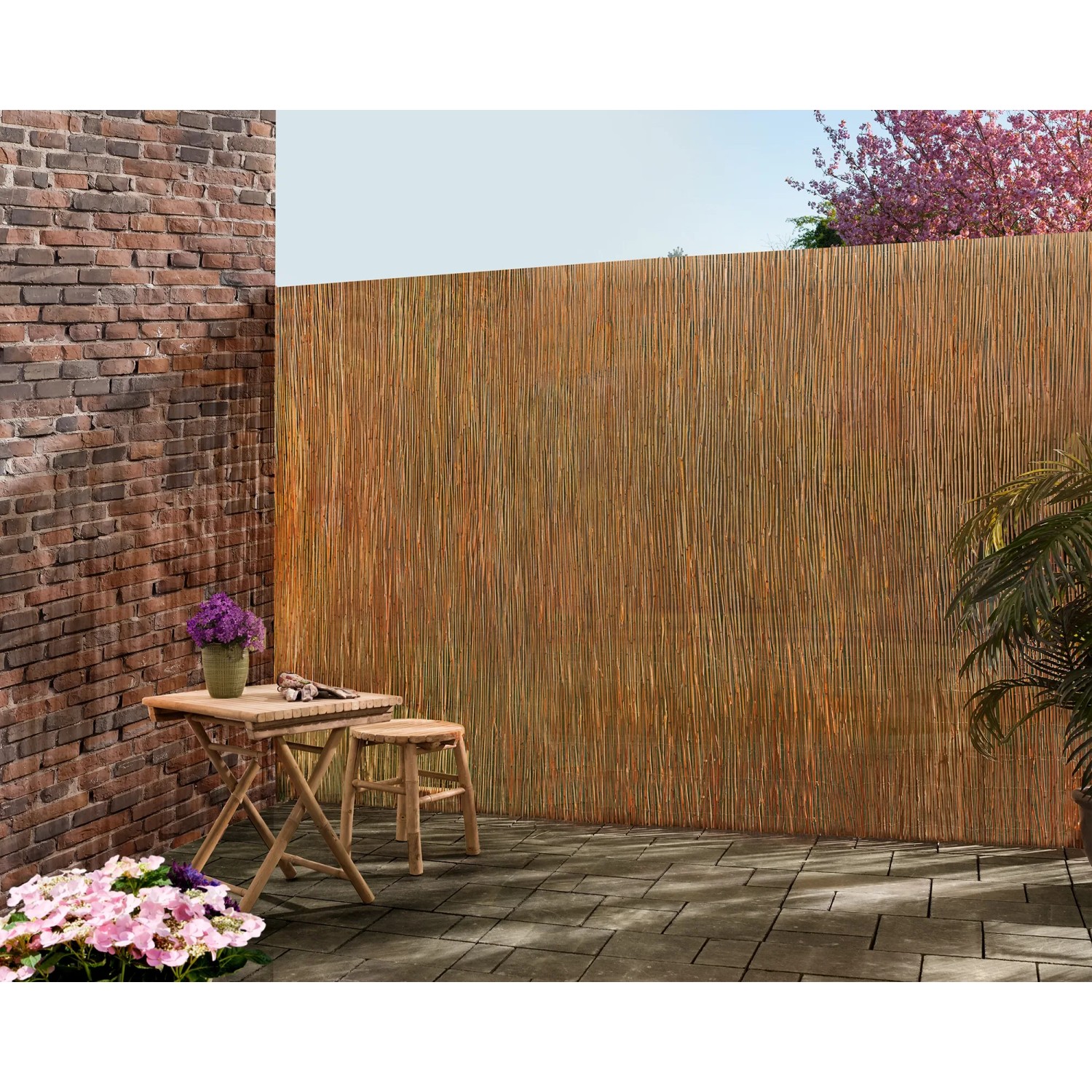 Floraworld Schilfrohr Sichtschutz Premium, 180x300cm, als natürliche Gartenabtrennung.
