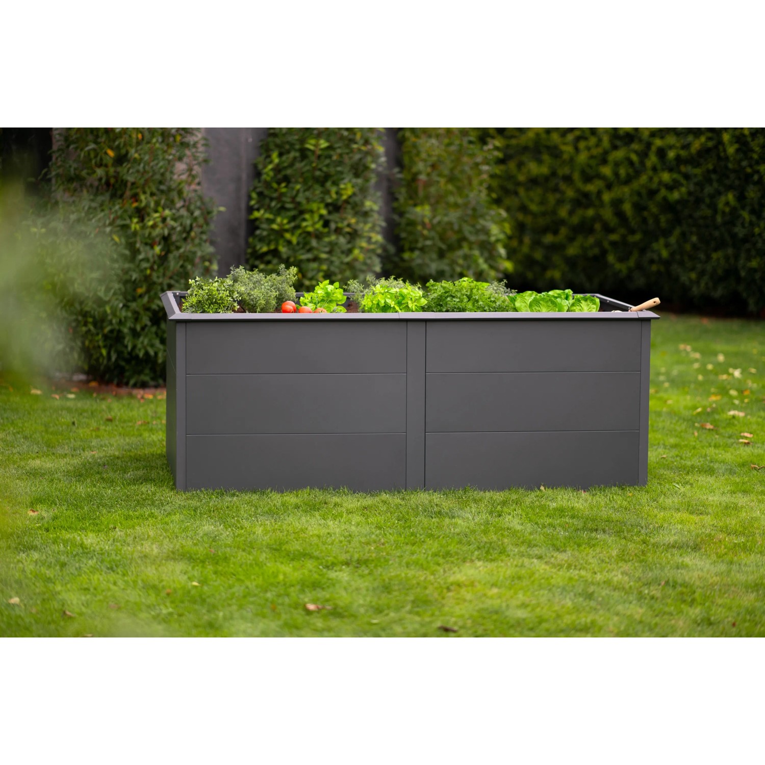 Westmann Hochbeet Primus, 2x1m, Anthrazit, mit Schneckenschutz. Metall-Hochbeet mit Bepflanzung im Garten.