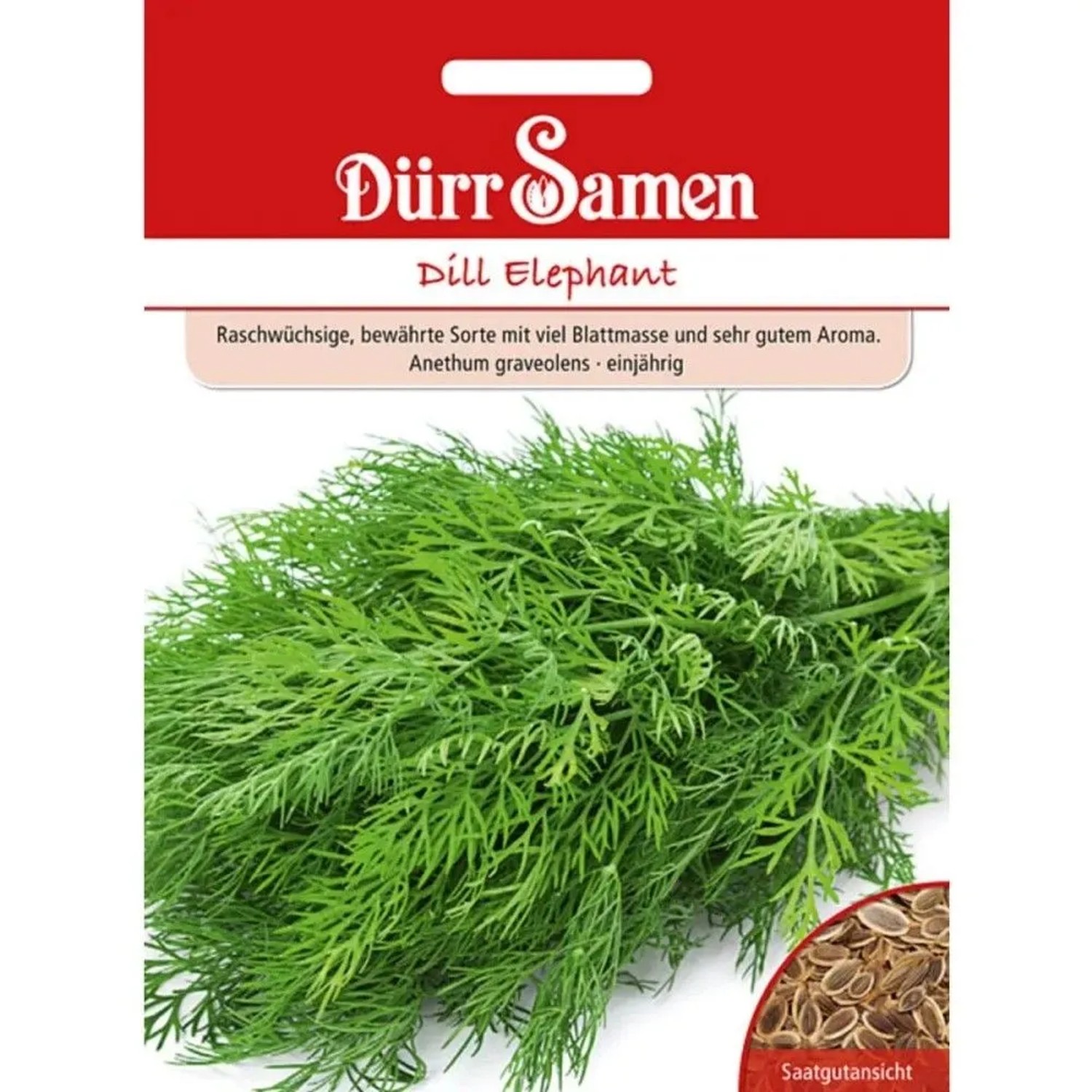 Dürr Samen Dill Elephant Saatgut