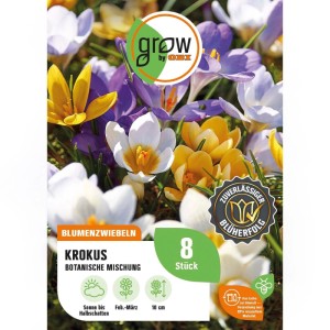 GROW by OBI Krokus Blumenzwiebeln, botanische Mischung, 8 Stück. Bunte Krokusblüten in Weiß, Gelb, Lila auf der Packung.