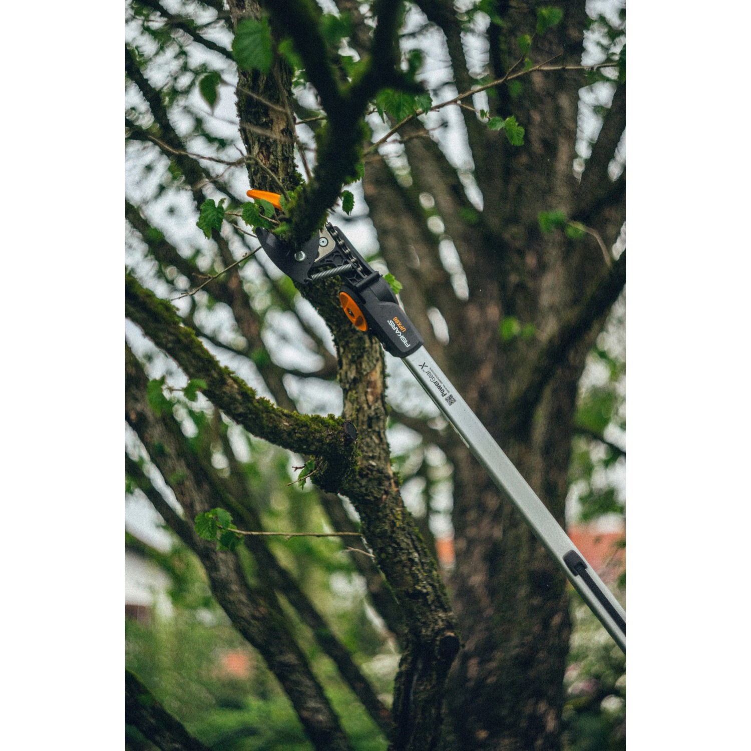Fiskars Teleskop-Schneidgiraffe UPX86 beim Schneiden eines Astes. Gartenschere mit langem, silberfarbenem Stiel.
