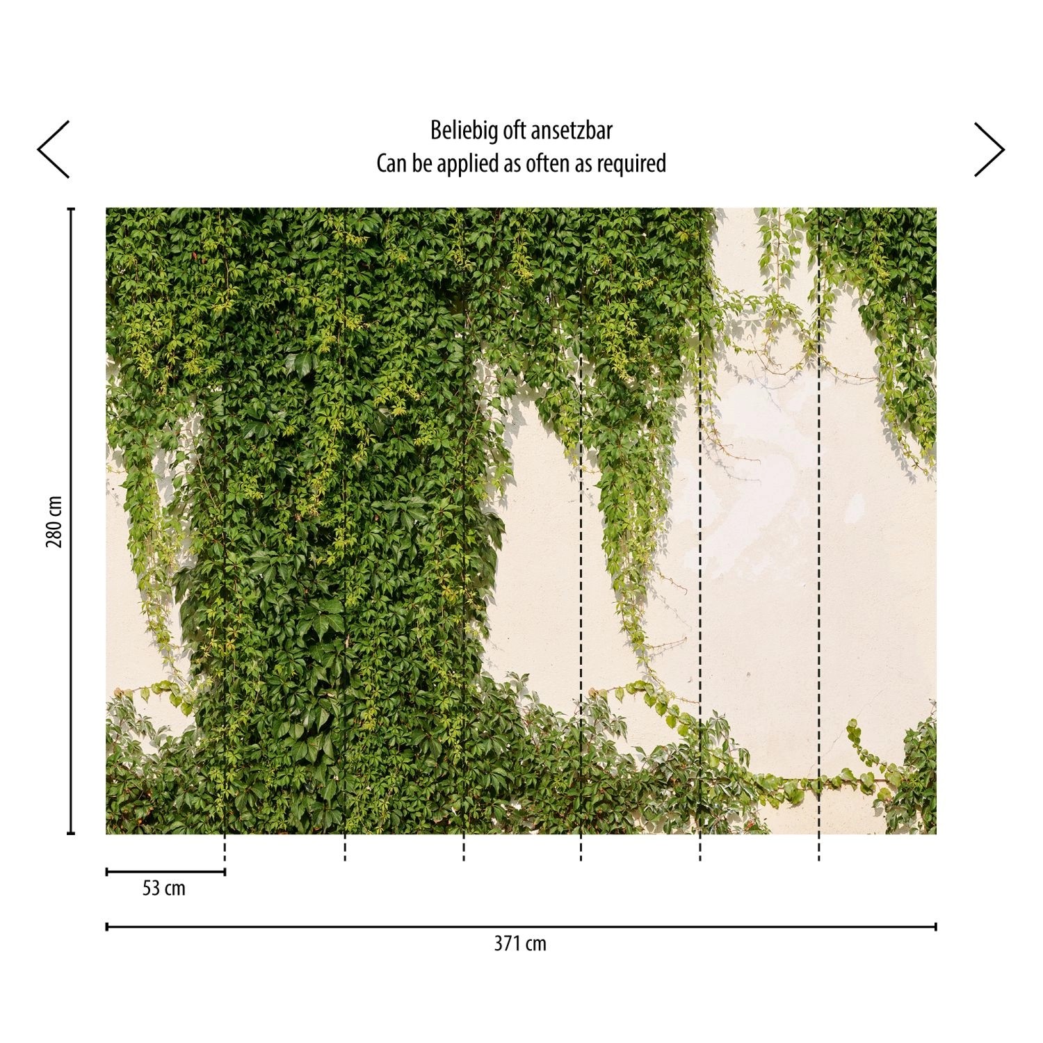 Livingwalls Fototapete Hedera Grün und Creme-Beige 371 x 280 cm AS-392271 günstig online kaufen