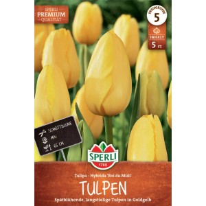 Sperli Blumenzwiebeln 'Roi du Midi': Gelbe, spät blühende Tulpen für Beet und Vase.