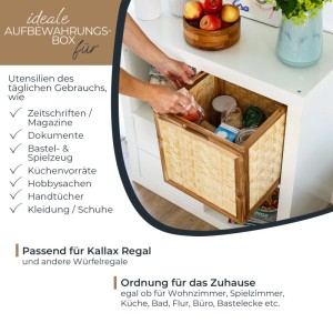 HMF 37640-M1 Aufbewahrungskorb Kallax Regale Korb Rattan Wiener Geflecht und Akazienholz Muster 1 32 x 34 x 32 cm