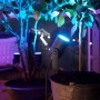 Philips Hue Lily LED-Gartenstrahler 3er-Set, schwarz, mit farbigem Licht beleuchtete Pflanzen.