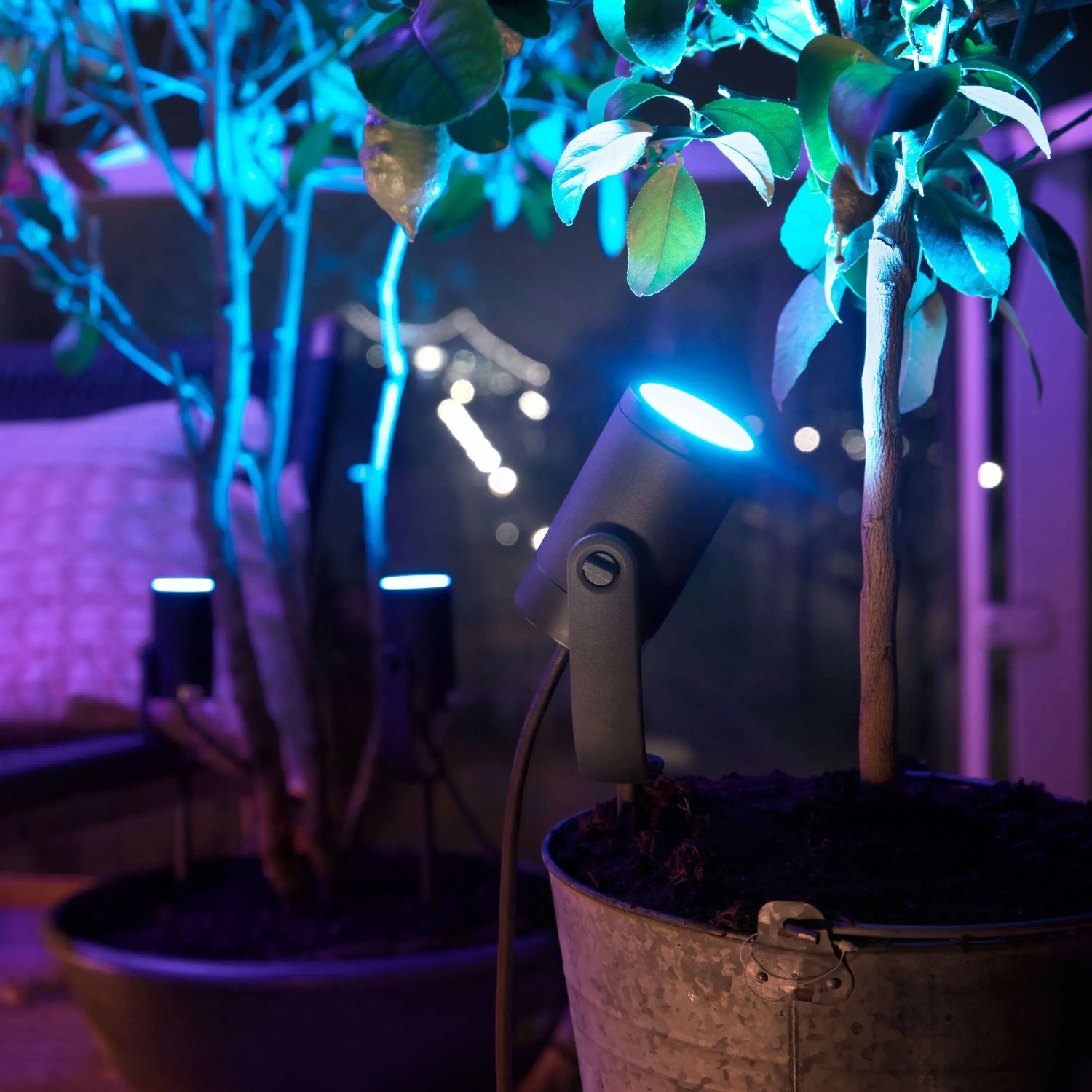 Philips Hue Lily LED-Gartenstrahler 3er-Set, schwarz, mit farbigem Licht beleuchtete Pflanzen.