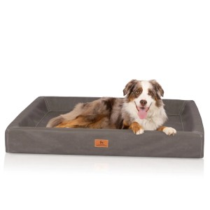 Knuffelwuff Hundebett Austin, orthopädisch, braungrau, mit Hund im Körbchen.