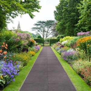 Verlegtes Beispiel: Anthrazit Terrassenplatten 50x50 cm als Gartenweg in üppiger Blumenpracht.