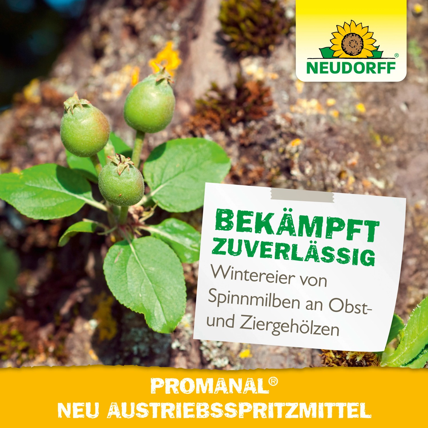 Neudorff Promanal Neu Austriebsspritzmittel gegen Spinnmilben an Obstgehölzen.