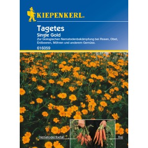 Kiepenkerl Tagetes Single Gold Blumensamen mit goldgelben Blüten zur Nematodenbekämpfung.