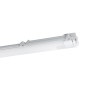 Graue Eglo LED-Feuchtraumleuchte, 2-flammig, 126 cm, für Bad und Keller geeignet.