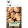 Pflanzkartoffeln Belana, 10 Stück, vorwiegend festkochend, auf Jute-Untergrund.