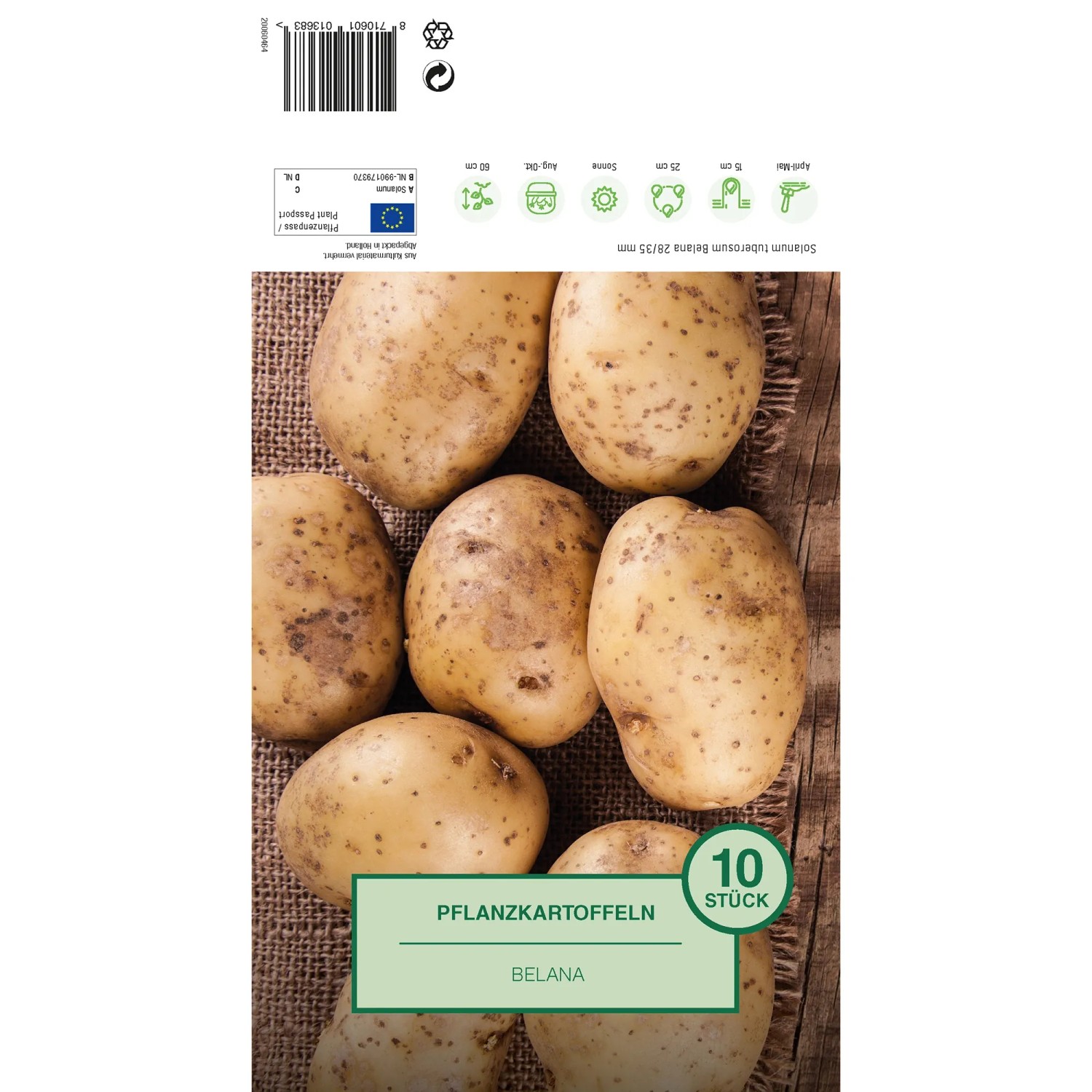 Pflanzkartoffeln Belana, 10 Stück, vorwiegend festkochend, auf Jute-Untergrund.