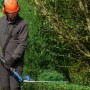 Mann schneidet Hecke mit Bosch Akku-Teleskopheckenschere GHE 18V-50 TP Solo.