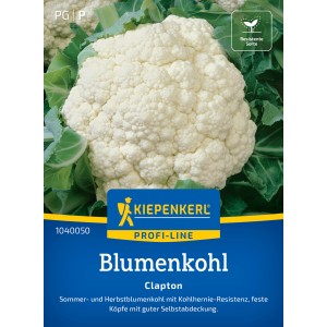 Kiepenkerl Blumenkohl Clapton F1-Hybride, widerstandsfähige Sorte für aromatische, weiße Köpfe.