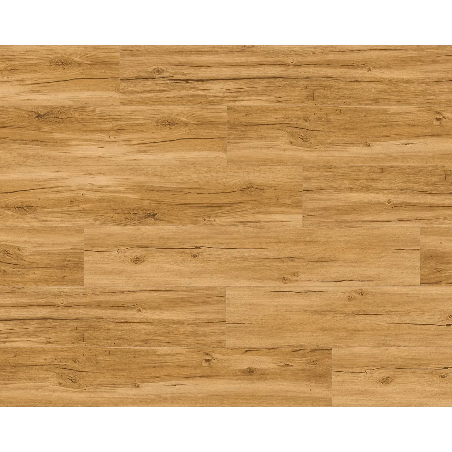 Parador Vinylboden Basic 5.3 Eiche Memory Natur, verlegt. Holzoptik, Klick-Vinyl.