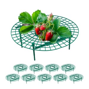 Relaxdays Erdbeerreifer Kunststoff Grün Schneckenschutz 10er Set 10 cm x 30 cm