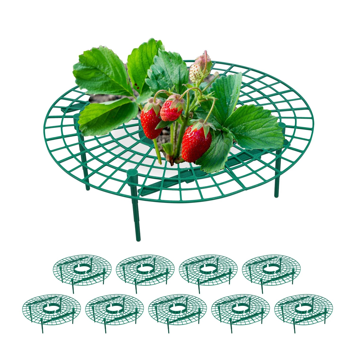 Relaxdays Erdbeerreifer Kunststoff Grün Schneckenschutz 10er Set 10 cm x 30 cm