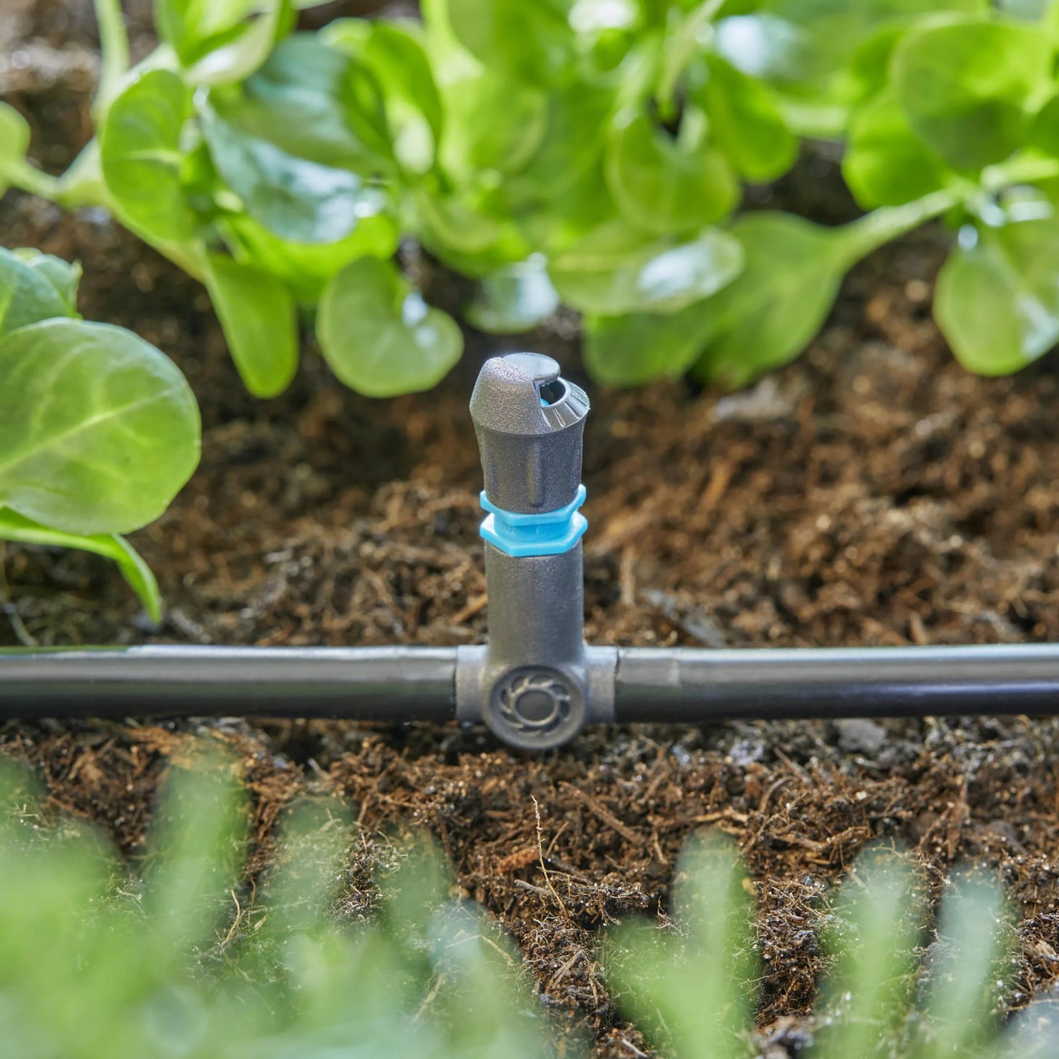 Gardena T-Stück für Micro-Drip-System mit Sprühdüse im Beet.