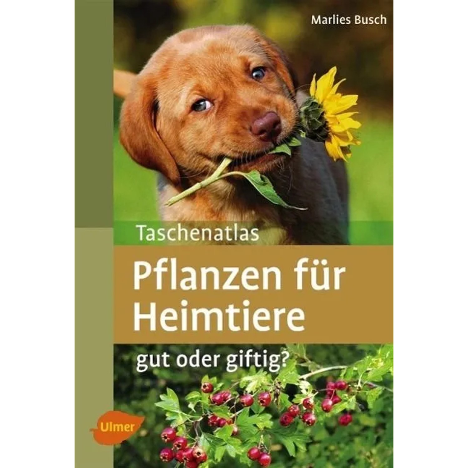 Taschenatlas Pflanzen für Heimtiere
