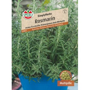 Sperli Rosmarin SimplyHerbs Multipille im Topf, Kräutersamen für dichten Wuchs.