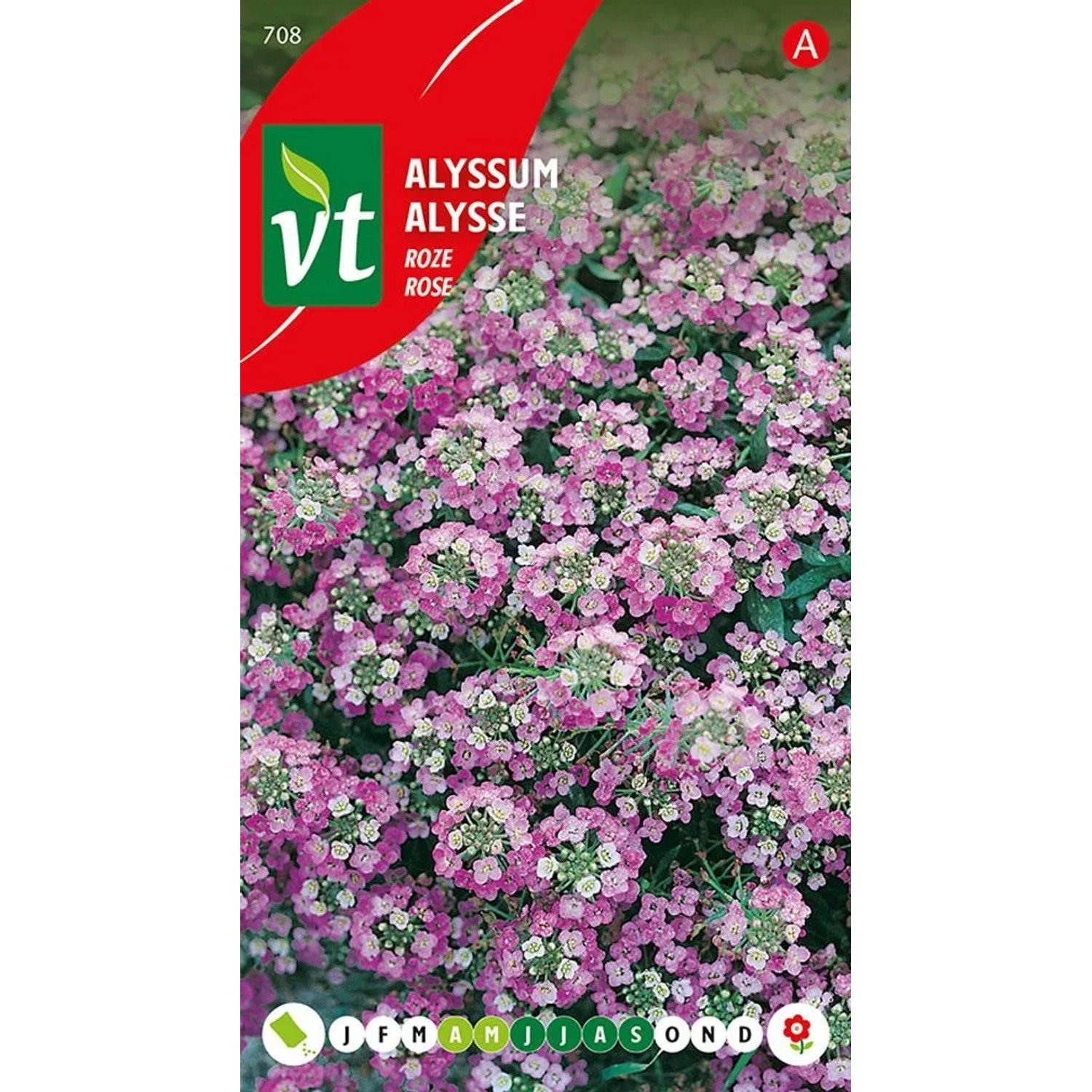 Steinkraut 'Rosie O'Day' Alyssum Ca. 0,5 g Niedriger Bodendecker