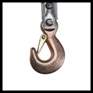 Detailaufnahme Lasthaken mit Sicherheitsbügel für Einhell Handhebelseilzug TC-LW 2000.