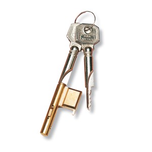 Burg Wächter Zylinder-Schlüssellochsperrer E 700/2 SB mit zwei Schlüsseln.