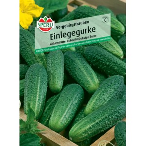 Sperli Einlegegurke Vorgebirgstrauben Samen, kurz, oval und grün.