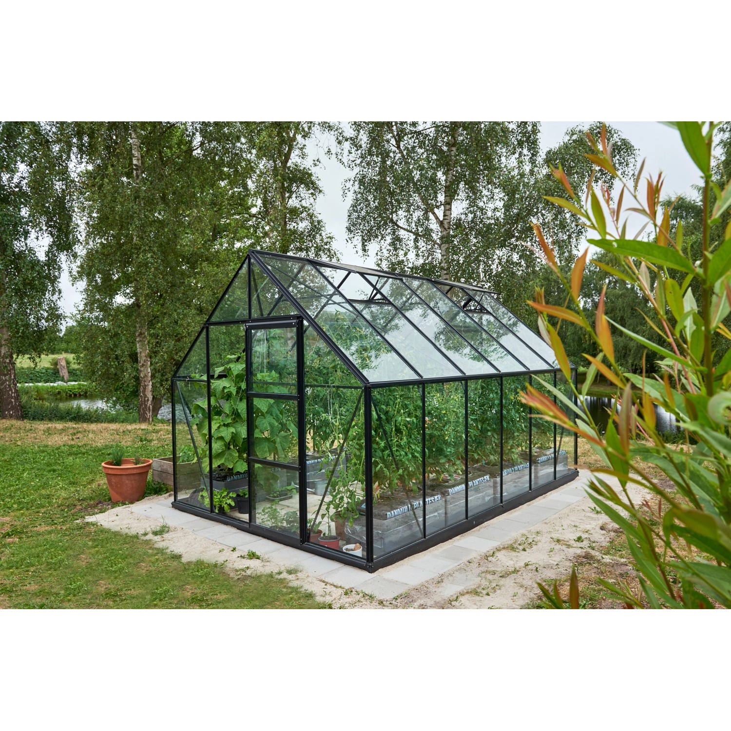 Halls Gewächshaus Universal 128 mit 3 mm Sicherheitsglas Schwarz 9,9 m² günstig online kaufen