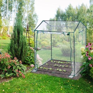 Transparentes Foliengewächshaus mit dunkelgrünem Rahmen im Garten. Aufrollbare Tür, ideal für Pflanzen, Gemüse, Kräuter.