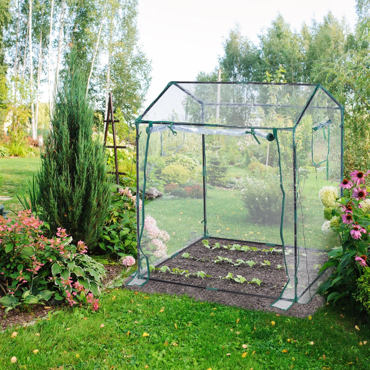 Transparentes Foliengewächshaus mit dunkelgrünem Rahmen im Garten. Aufrollbare Tür, ideal für Pflanzen, Gemüse, Kräuter.