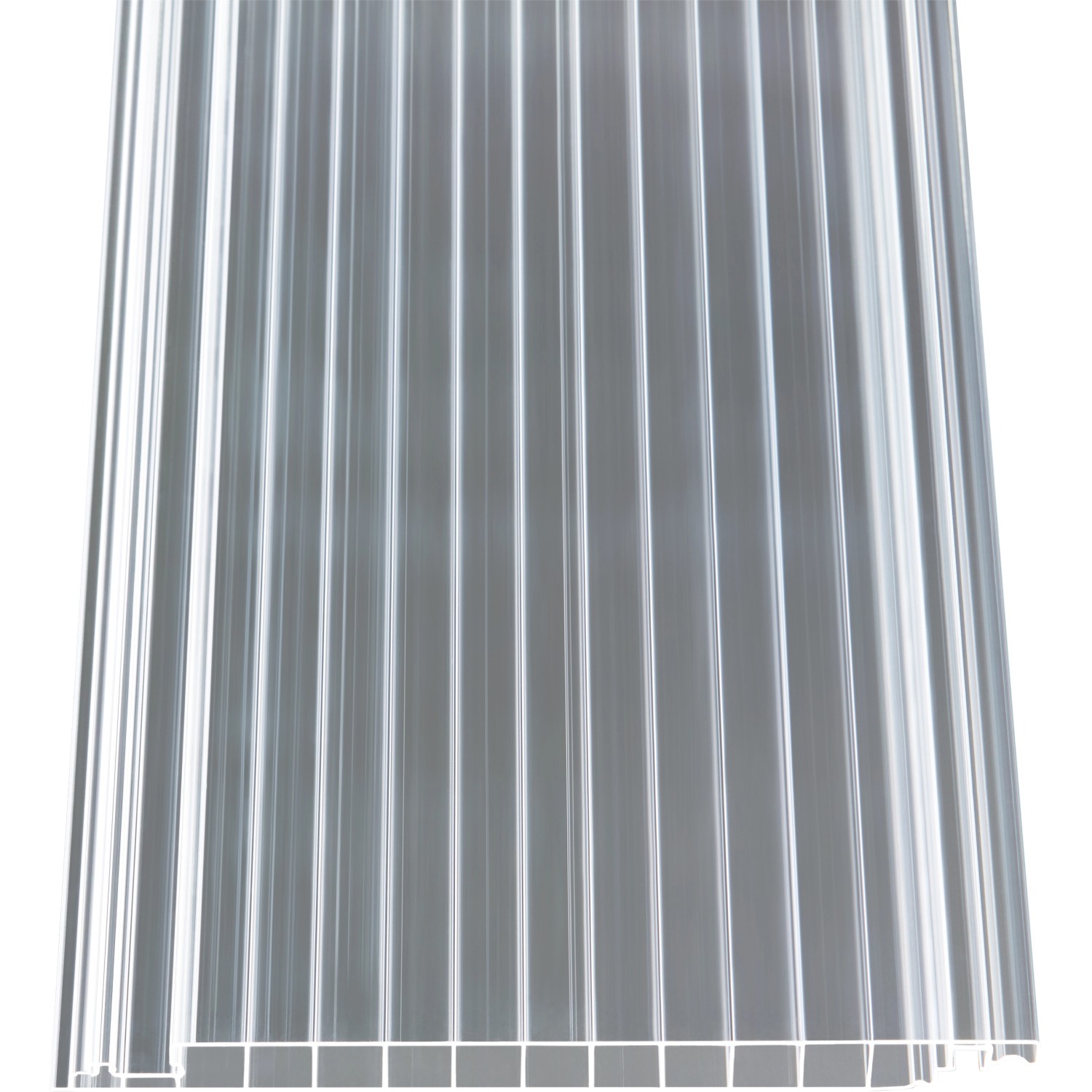 PC Hohlkammerpaneele Easy-click plus 1,6 cm Transparent 250 cm x 20 cm