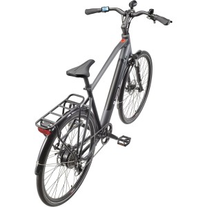 Telefunken Trekking E-Bike 28 Zoll 8-Gang Kettenschaltung Heckmotor 250 W 417,6 Wh Akku XT490