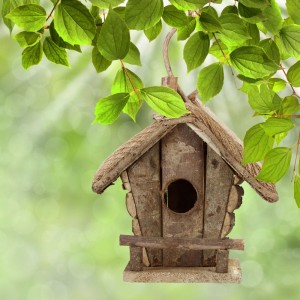 Relaxdays Vogelhaus Holz Natur Zum Aufhängen