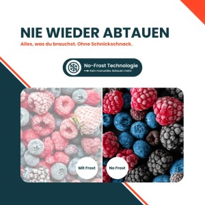 homeX Gefrierschrank No Frost Tiefkühlschrank Groß 204L Nutzinhalt 4-Sterne Gefrieren Super-Frost-Funktion Weiß