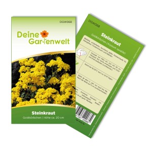 Samentüte Steinkraut Goldkörbchen von Deine Gartenwelt mit gelben Blüten.