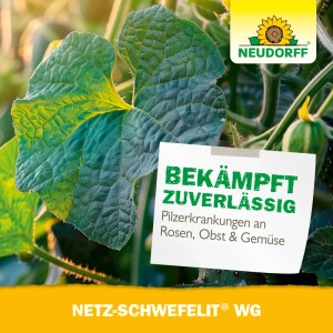 Neudorff Netz-Schwefelit WG gegen Pilzbefall an Pflanzen, mit Hinweiszettel.