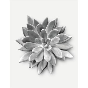 Komar Wandbild: Agave Sukkulente in Grautönen, 40x50 cm. Dekorative Pflanzen-Kunst für Ihr Zuhause.