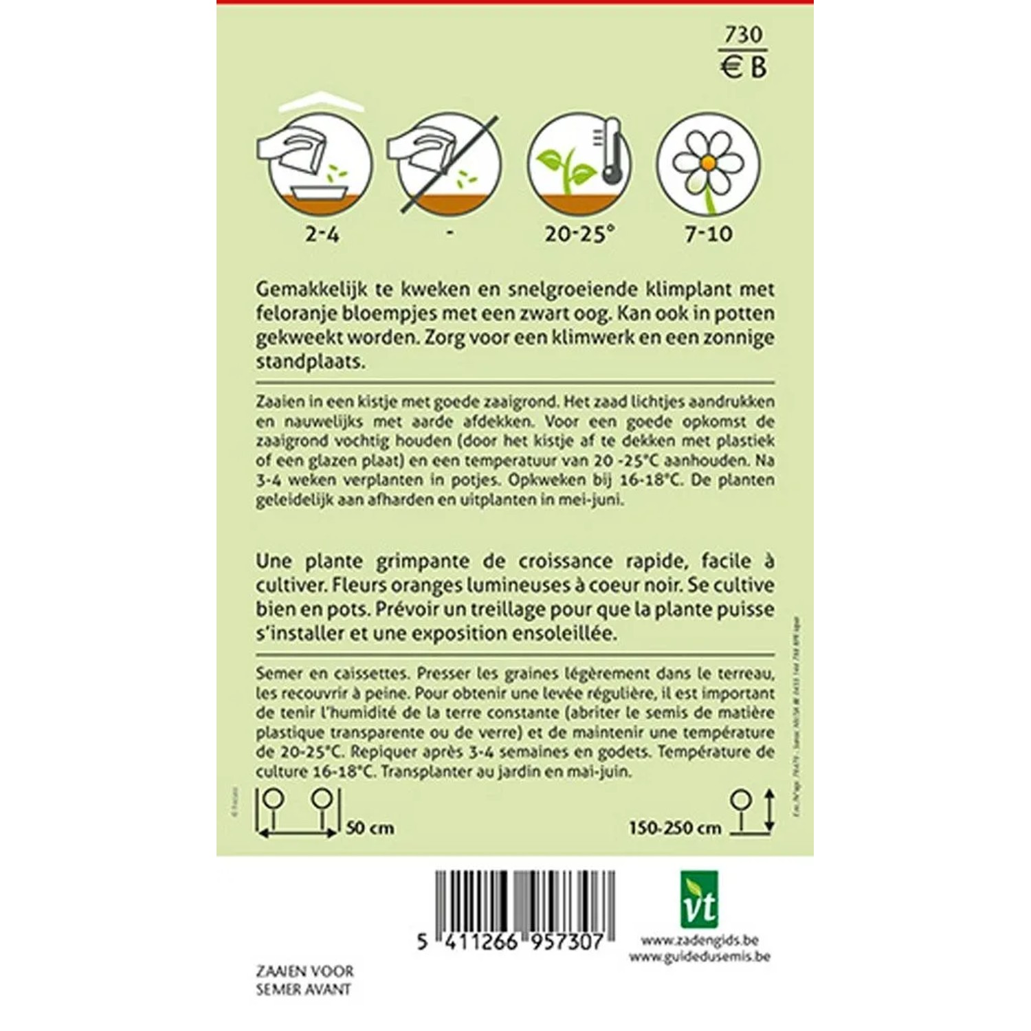 Schwarzäugige Susanne Samen Ca. 0,75 g Orangefarbene Blüten_2