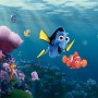 Disney Fototapete Findet Dorie mit Nemo im blauen Ozean, Korallenriff. Kinderzimmer Deko.