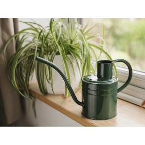 Dunkelgrüne Kent & Stowe Gießkanne (1 l) aus Stahl, ideal für Zimmerpflanzen.