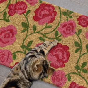 Relaxdays Fußmatte Kokos Natur Pink Grün Rutschfest 60 cm x 40 cm x 1,5 cm 1,4 kg