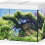 Eheim VivalineLED 150 Aquarium-Komplettset, weiß, 150 Liter, mit Abdeckung und Bepflanzung.