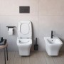 Schwarze Pianura Betätigungsplatte Duo R EASYPro für WC-Spülkasten.